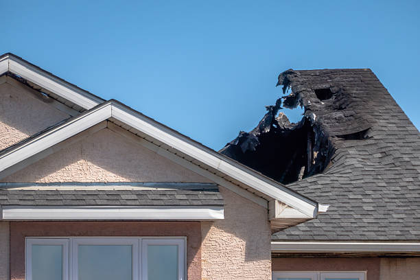 Top rated local Board Up Services specialists in Champlin, MN